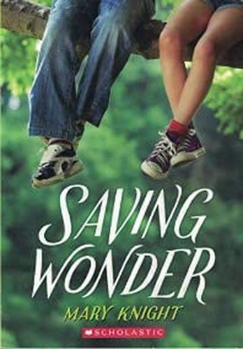Saving Wonder