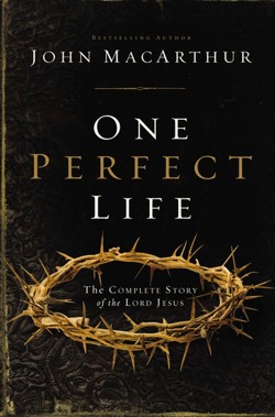 One Perfect Life