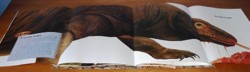 Life-Size Reptiles
