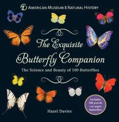 The Exquisite Butterfly Companion