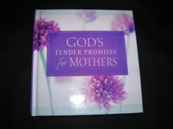 God's Tender Promises for Mothers