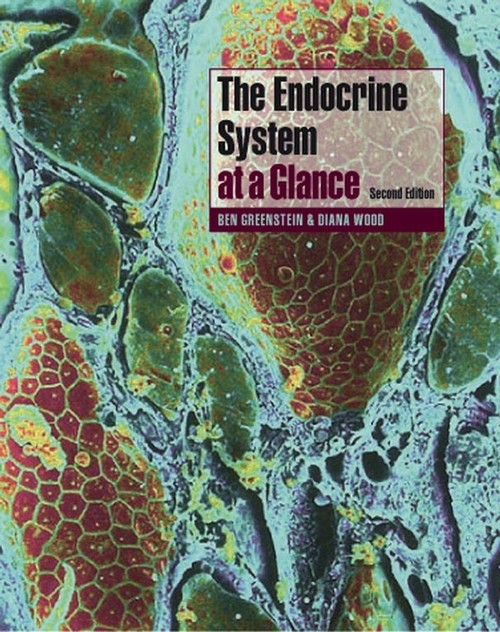 The Endocrine System at a Glance