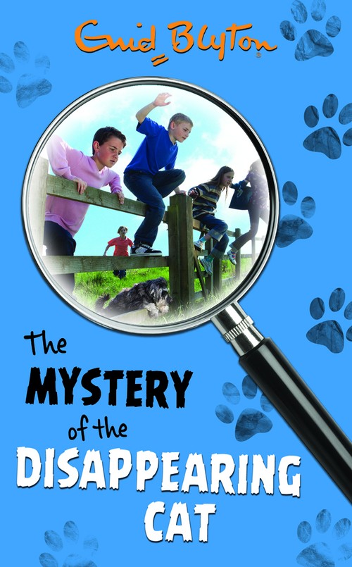 Mystery of the Disappearing Cat