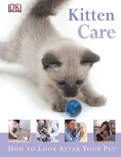 Kitten Care