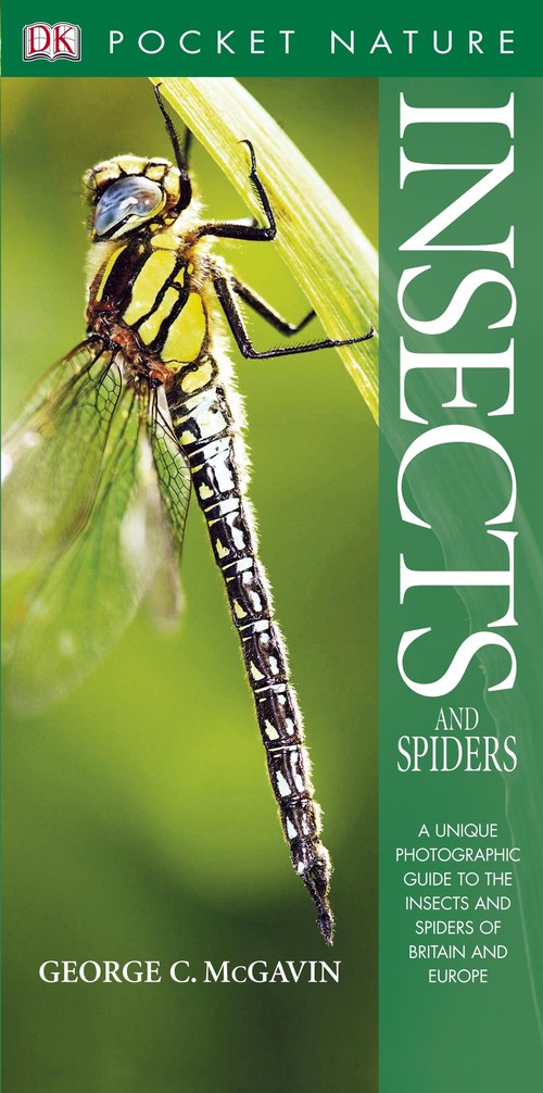 Insects