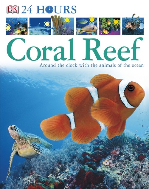 Coral Reef