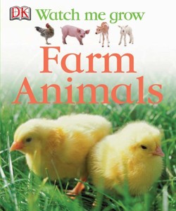 Farm Animals