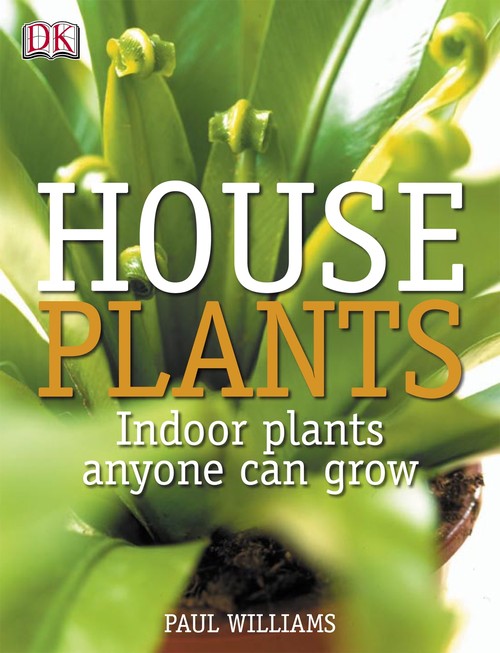 Houseplants