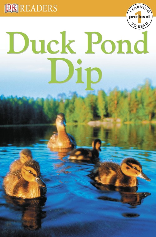 Duck Pond Dip