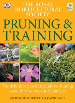 RHS Pruning & Training