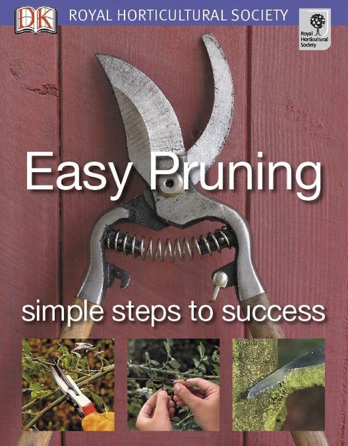 Easy Pruning