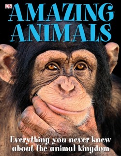 Amazing Animals