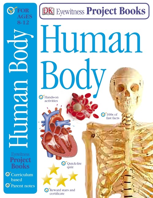 Human Body
