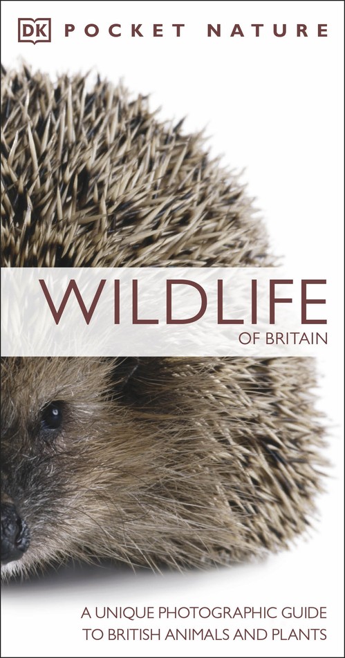 Pocket Nature Wildlife of Britain