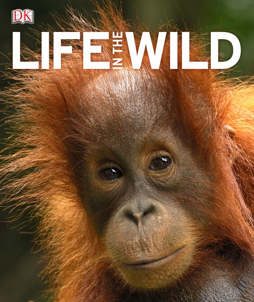 Life In The Wild