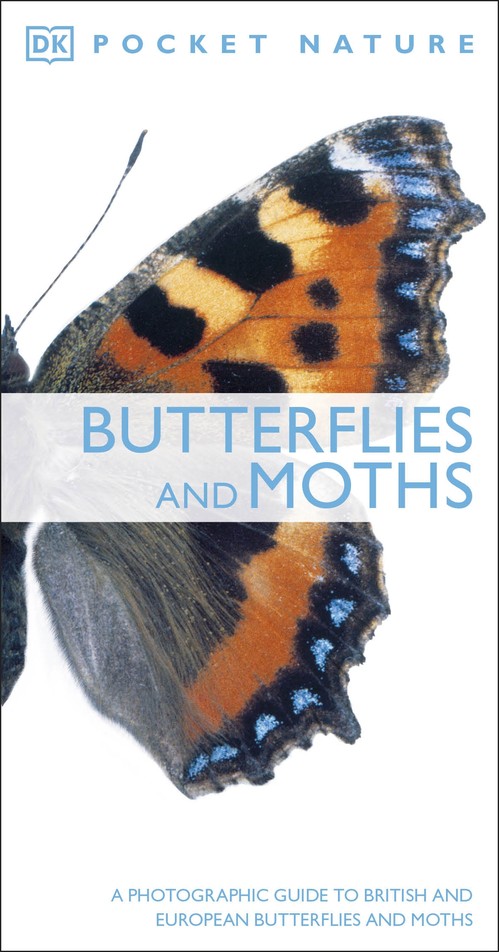 Butterflies and Moths
