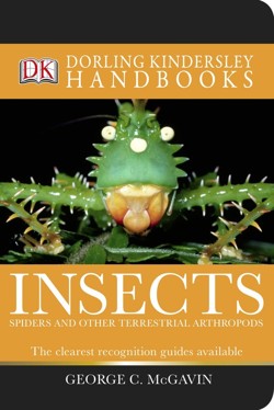 Insects