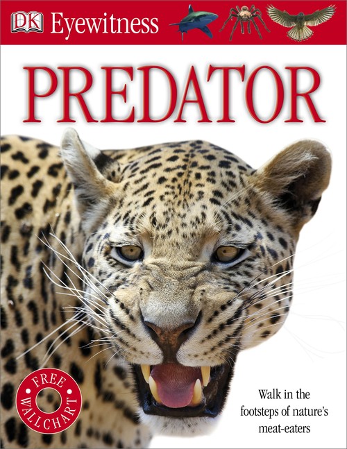 Predator