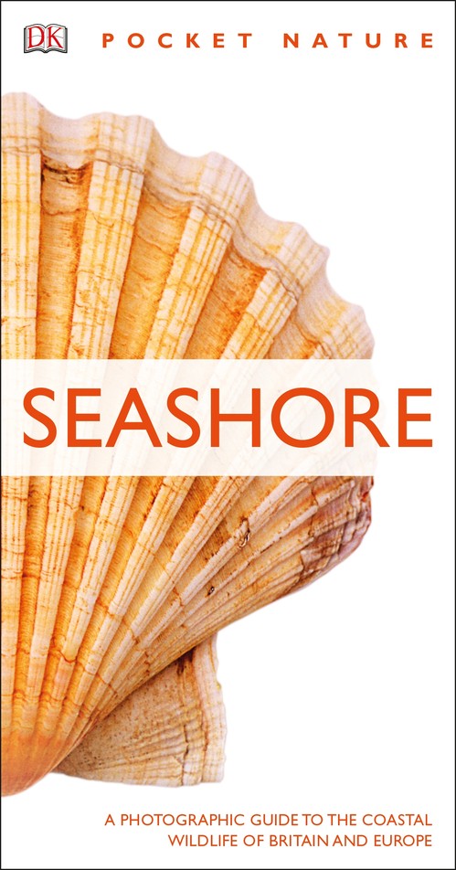 RSPB Pocket Nature Seashore