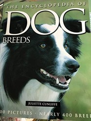 Dogs