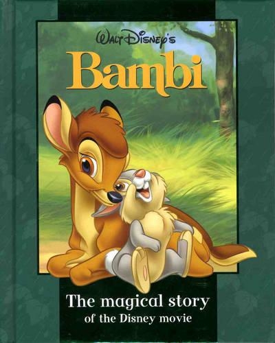 Disney Magical Story