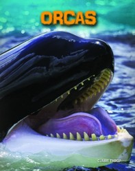 Orcas