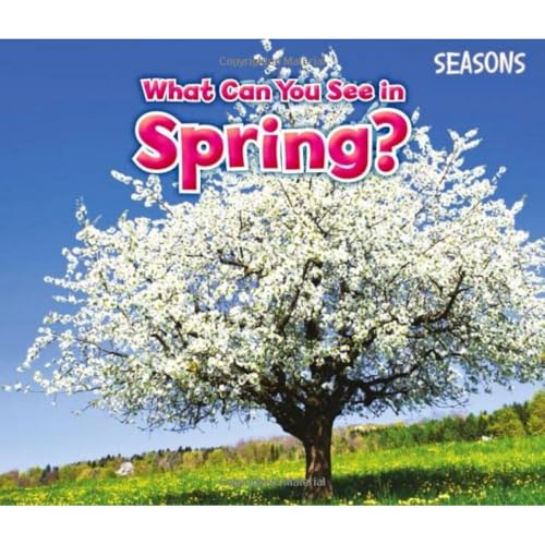 What Can You See In Spring?