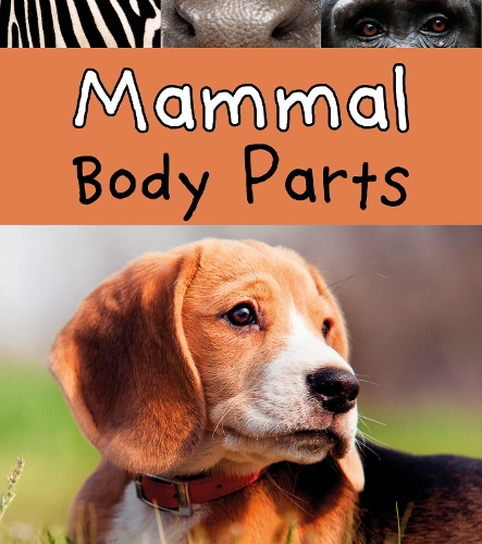 Mammal Body Parts