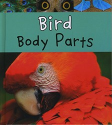 Bird Body Parts