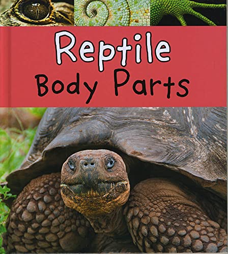 Reptile Body Parts
