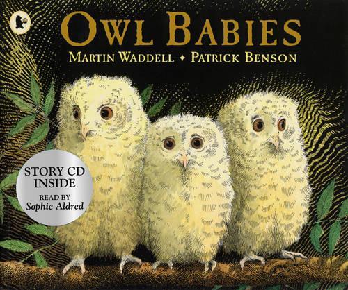 Owl Babies And Cd