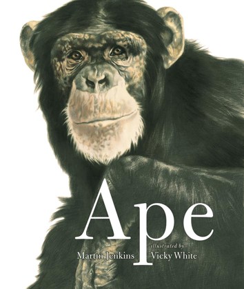 Ape