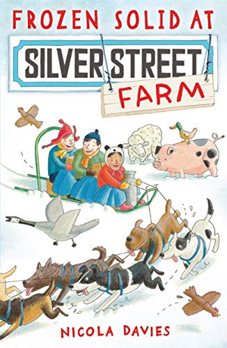 Frozen Solid at Silver Street Farm