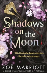 Shadows on the Moon