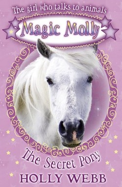 The Secret Pony