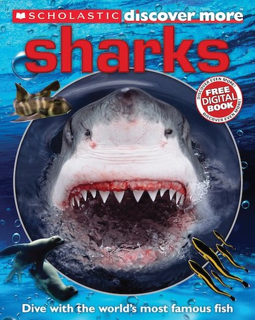 Discover More: Sharks
