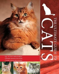 Encyclopedia