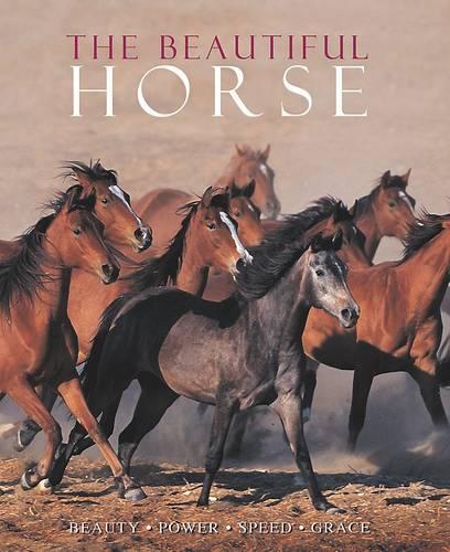 The Beautiful Horse