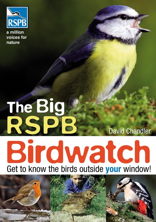 The Big RSPB Birdwatch