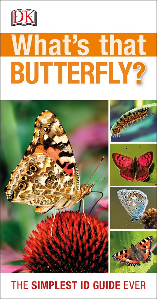 RSPB What's that Butterfly?