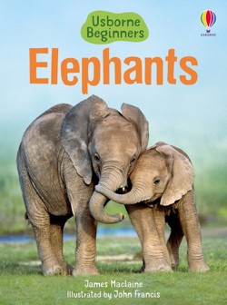 Elephants