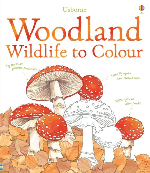 Woodland Wildlife to Colour