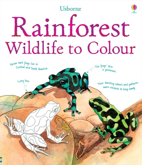 Rainforest Wildlife to Colour