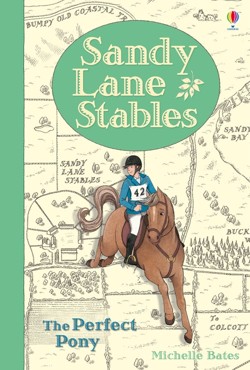 Sandy Lane Stables The Perfect Pony