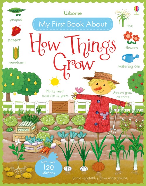 My First Book About How Things Grow