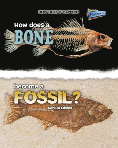 How Does it Happen How Does a Bone Become a Fossil?