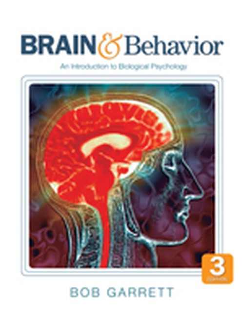 Brain & Behavior