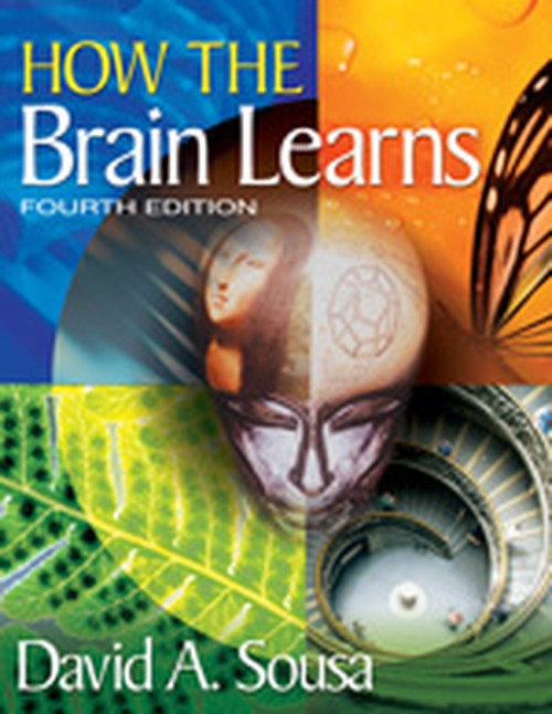 How the Brain Learns