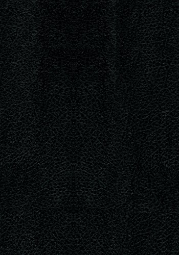 Life Application Study Bible