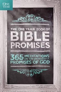 One Year Book Of Bible Promises, The